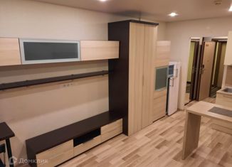 Продается квартира студия, 28.5 м2, Санкт-Петербург, улица Хошимина, 16, улица Хошимина