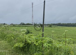 Земельный участок на продажу, 20 сот., деревня Ильинка