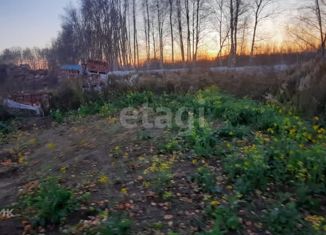 Продается земельный участок, 10 сот., садовое товарищество Иня-НАПО, садовое товарищество Иня-НАПО, 124