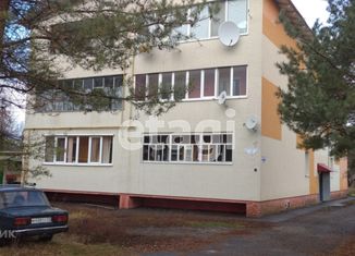 Продам трехкомнатную квартиру, 72.6 м2, поселок Сажное, Энергетическая улица, 12