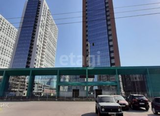 Продается квартира студия, 30.9 м2, Санкт-Петербург, Заречная улица, 11к2, метро Парнас