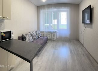 Продается квартира студия, 25 м2, село Зубово, улица Бориса Перина, 1