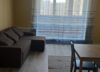 Аренда квартиры студии, 30 м2, Санкт-Петербург, улица Фёдора Котанова, 5к1, ЖК Звёзды Столиц