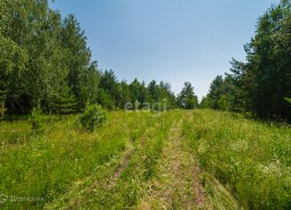 Продаю участок, 15.1 сот., село Каменка, Школьная улица