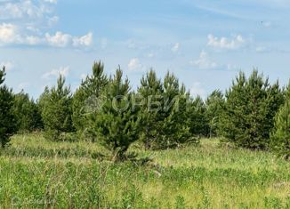 Продажа земельного участка, 7043 сот., село Салаирка