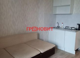 Продам квартиру студию, 18 м2, Новосибирск, Спортивная улица, 29