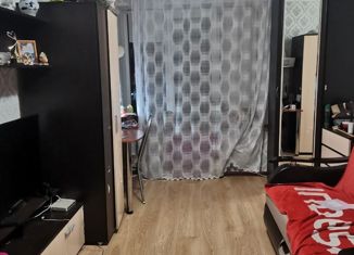 Продается 2-ком. квартира, 46.7 м2, деревня Пеники, Новая улица, 10