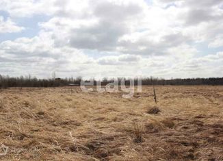 Продаю земельный участок, 10 сот., деревня Нифантово