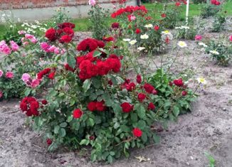 Дом на продажу, 12 м2, Старый Оскол, Рудная улица, 29