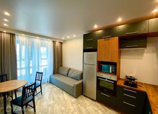 Сдам в аренду однокомнатную квартиру, 35 м2, Санкт-Петербург, Лиговский проспект, 271, метро Обводный канал