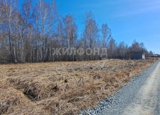 Продается земельный участок, 10.18 сот., посёлок Октябрьский, Октябрьская улица, 14