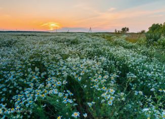 Продается участок, 9.75 сот., деревня Бобки, Центральная улица