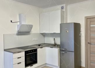 Сдача в аренду квартиры студии, 24 м2, Санкт-Петербург, Плесецкая улица, 6, ЖК Ариосто