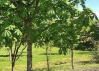 Продажа земельного участка, 50 сот., деревня Черма
