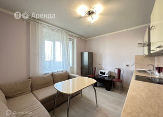 2-ком. квартира в аренду, 60 м2, Санкт-Петербург, Дунайский проспект, 7к7, ЖК Триумф Парк