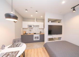 Сдам в аренду квартиру студию, 25 м2, Пермь, улица Чернышевского, 22, Свердловский район