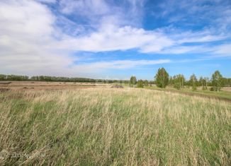 Продам участок, 18 сот., посёлок Новый, Райская улица