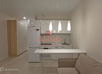 Продам квартиру студию, 25.8 м2, деревня Пирогово, ЖК Пироговская Ривьера, улица Сурикова, 1