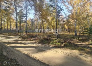 Земельный участок на продажу, 17 сот., село Спирино, Боровая улица