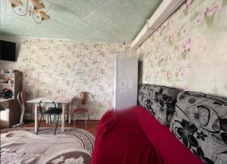 1-комнатная квартира на продажу, 25 м2, посёлок Энергетик, Высоковольтная улица, 1