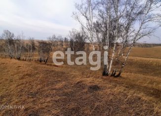 Продажа земельного участка, 6 сот., СПК Солонцы