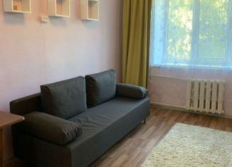 Аренда комнаты, 60 м2, Санкт-Петербург, улица Смолячкова, 14к1, муниципальный округ Сампсониевское