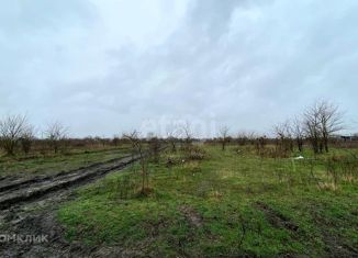 Продаю земельный участок, 29 сот., станица Старонижестеблиевская