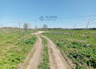 Продаю земельный участок, 49 сот., деревня Руссковицы