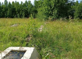 Продажа участка, 48.2 сот., село Выльгорт