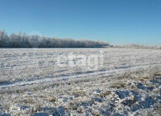 Продам земельный участок, 1400 сот., село Борисово-Покровское