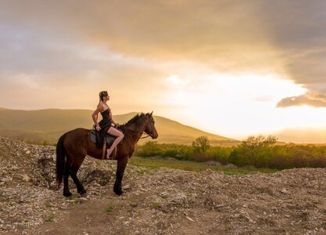 Продажа участка, 5 сот., территория СНТ Голубая Долина, территория СНТ Голубая Долина, 2