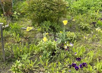 Продаю дом, 10 м2, 