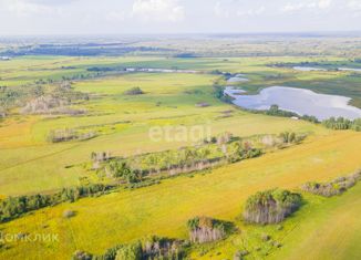 Продается земельный участок, 300 сот., деревня Есаулова, улица Гайдара, 13