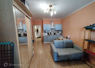 Продажа квартиры студии, 25.5 м2, Мурино, улица Шувалова, 4, ЖК Мой Город
