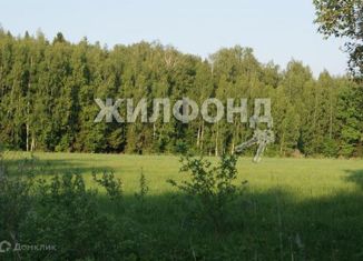 Продаю участок, 38 сот., село Гусельниково, Нижняя улица