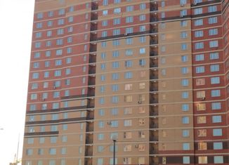 Продажа 1-комнатной квартиры, 41.8 м2, Балашиха, Чистопольская улица, 24