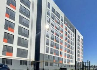 1-комнатная квартира на продажу, 44.65 м2, село Мирное, Щедрая улица, 4