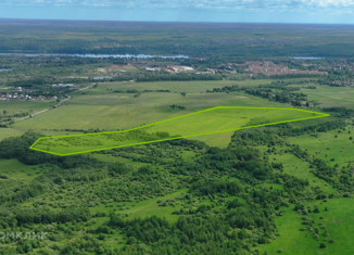 Продаю участок, 3251.8 сот., деревня Губцево, Центральная улица, 13