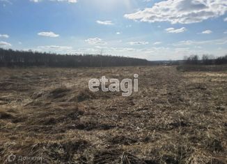 Продается участок, 1060 сот., рабочий посёлок Выгоничи, Деснянская улица