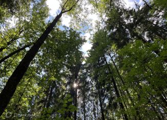 Продам участок, 6.4 сот., село Жилино, Высокая улица