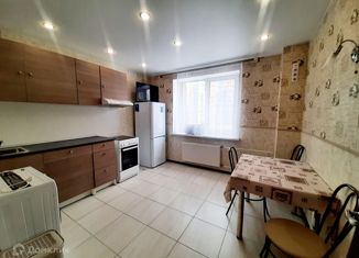 Сдам в аренду 2-комнатную квартиру, 54 м2, Мурино, улица Шувалова, 16/9, ЖК Созвездие