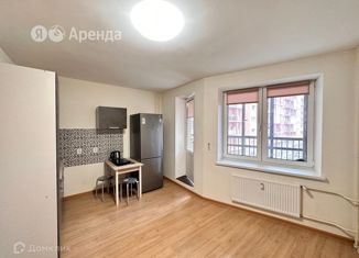 Сдача в аренду квартиры студии, 22 м2, Колпино, улица Севастьянова, 28к1