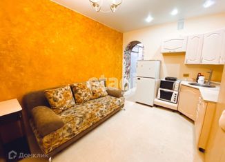 Квартира в аренду студия, 25 м2, Новосибирск, Березовая улица, 19, Березовая улица