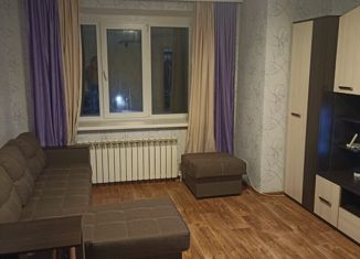 Продается 1-комнатная квартира, 35 м2, деревня Берёзовка, Молодёжная улица, 45