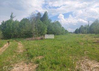 Земельный участок на продажу, 10 сот., деревня Большие Петрищи