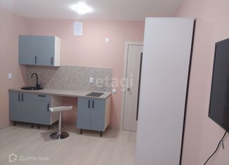 Продается квартира студия, 21.2 м2, посёлок Мичуринский, улица Евгения Савкова, 44Б