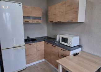 Сдается квартира студия, 25 м2, Уфа, улица Генерала Ишбулатова, 8