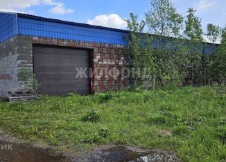 Продам земельный участок, 10.19 сот., село Соколово, Советская улица, 27