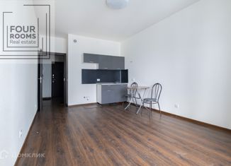 Продажа квартиры студии, 24.5 м2, Санкт-Петербург, Арцеуловская аллея, 23к1, ЖК Чистое Небо