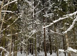 Продам участок, 14.81 сот., деревня Владычино